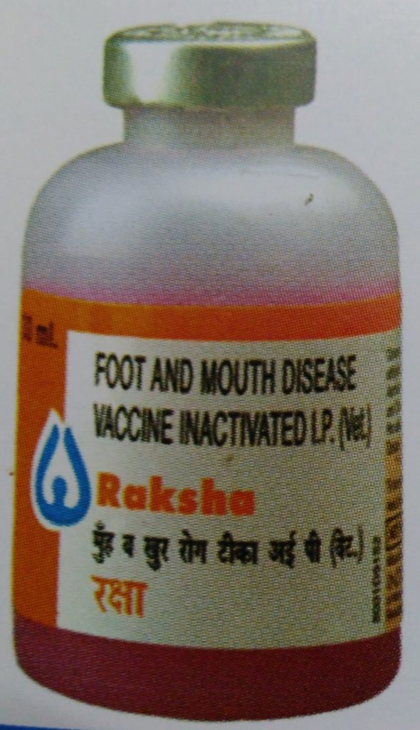 vaccination in cows, foot and mouth