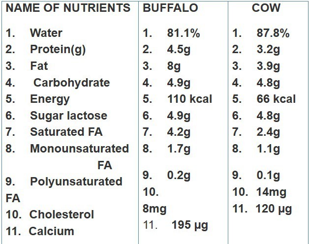 Buffalo and cow milk comparison, frequently asked questions.