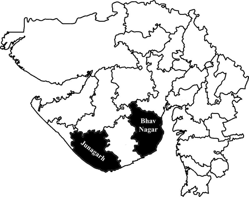 गुजरात के भावनगर तथा जूनागढ़ में गिरी गाय