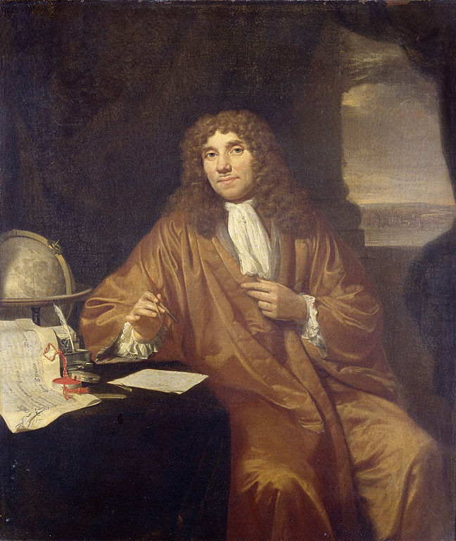 History of Reproduction, Leeuwenhoek